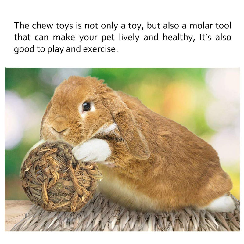 [Australia] - Vankcp 10 Pcs Hamster Chew Toys, Natural Wooden Chew Toys Pets Teeth Care Molar Ball for Small Animals Cat Rabbits Rat Guinea Pig 