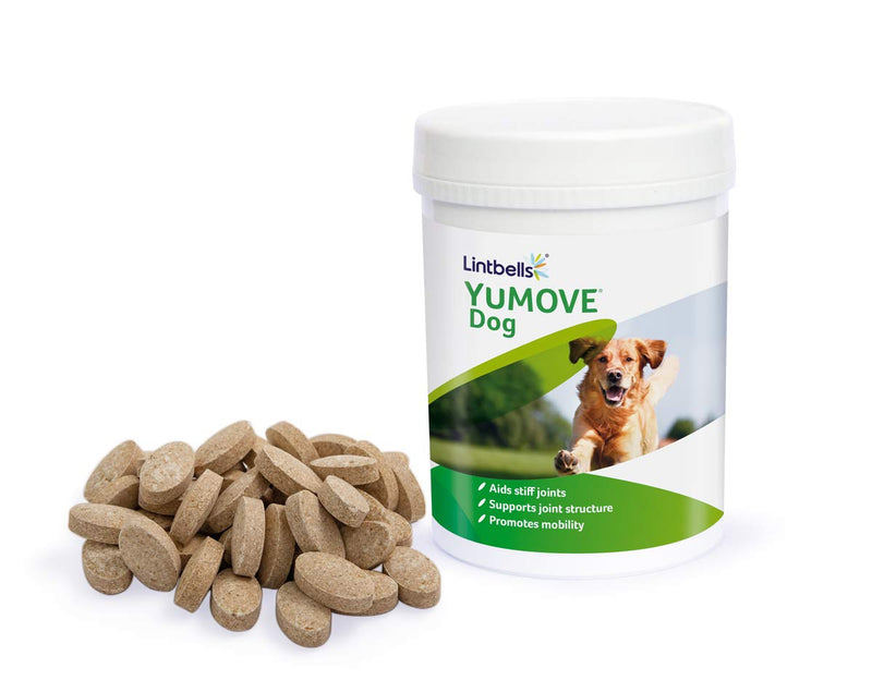 Lintbells YuMOVE Dog supplement for stiff and older dogs, 300 tablets - PawsPlanet Australia