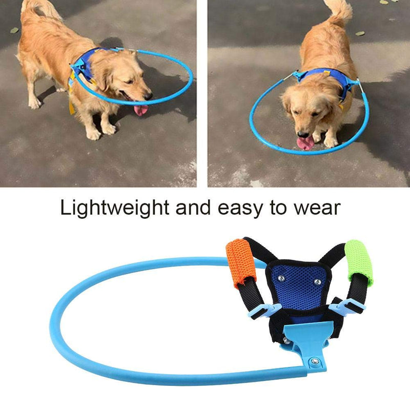 Blind Dog Harness Adjustable Halo Anti-Collision Vest Guide Device for Protecting Dogs Cats (Xs) XS - PawsPlanet Australia