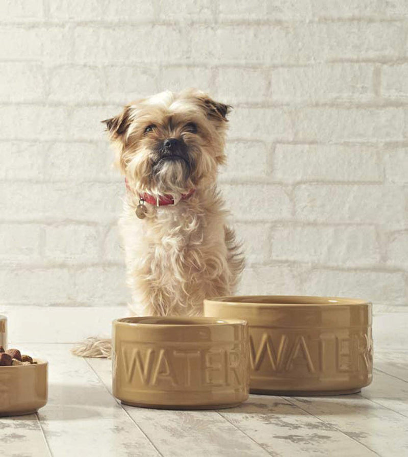 Mason Cash Lettered Water Bowl for Dogs, Cane, 15 cm One Size Single - PawsPlanet Australia