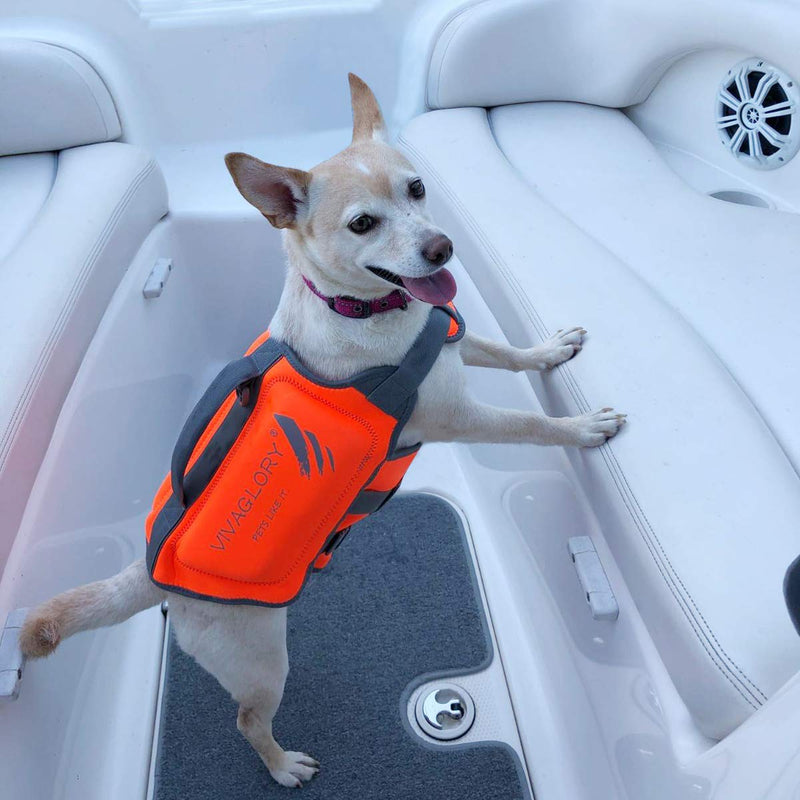 [Australia] - Vivaglory Dog Life Jackets, Premium Skin-Friendly Neoprene Dog Life Vest with Superior Buoyancy and Rescue Handle M: 19-23 inch (Ribcage Girth) Orange 