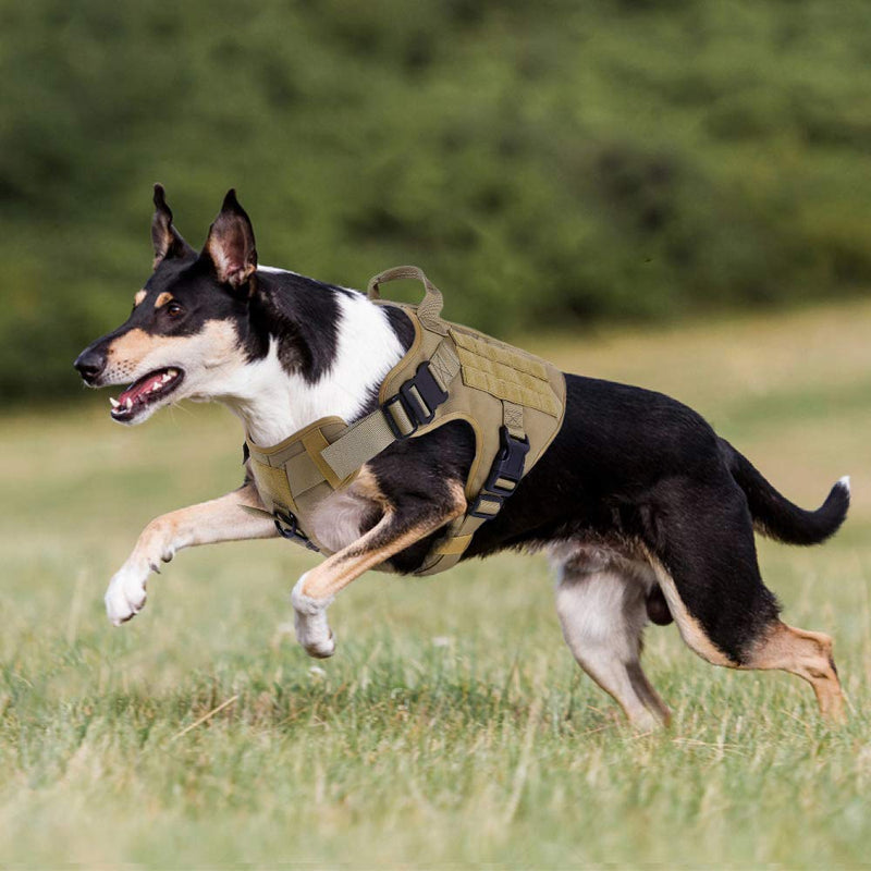 [Australia] - rabbitgoo Tactical Dog Harness Vest Large with Handle, Military Working Dog Molle Vest with Metal Buckles & Loop Panels, No-Pull Adjustable Training Harness with Leash Clips for Walking Hiking Hunting L: Neck (24.8-34.6"). Chest (31.5-41.3”) Tan 