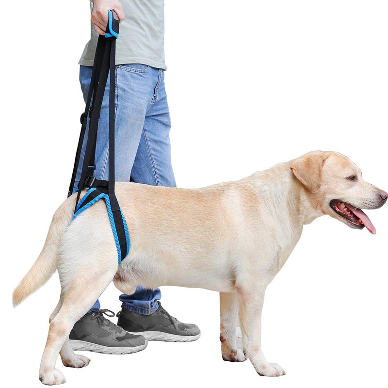 Komate Dog Lift Harness for Back Legs Portable Pet Support Sling for Help Lift Dogs Rear Dog Sling for Back Leg Disability Injury Dog Staircase Auxiliary Belt Retard (M (Rear leg 35-45cm)) M (Rear leg 35-45cm) - PawsPlanet Australia