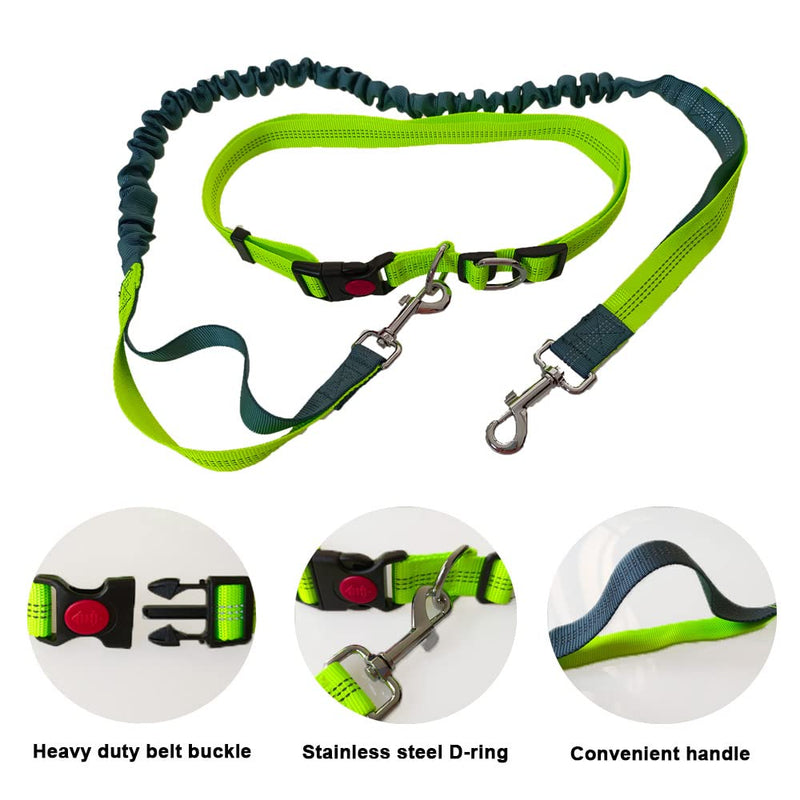 QitinDasen Hands-Free Dog Leash, Green Adjustable Waist Belt and Gray Stretchy Bungee Leash, Jogging Dog Leash with Reflective Stitching - PawsPlanet Australia