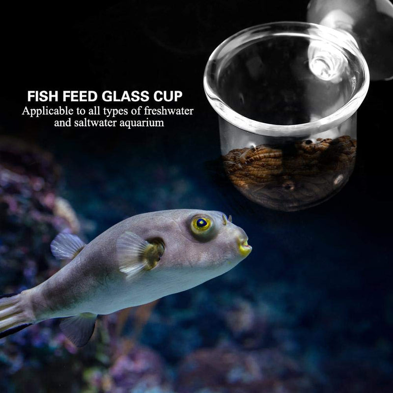 [Australia] - Pssopp Aquarium Cone Red Worm Feeder Acrylic Fish Tank Brine Shrimp Feeder Crystal Glass Plant Feeding Cup with Suction Cups S 