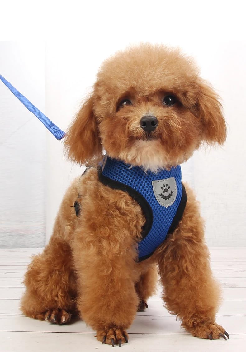 Soft Mesh Nylon Dog Vest Harness with 4ft Leash,Super Breathable Lightweight Safety Reflective Pet Harness for Dog Outdoor Walking,Adjustable Chest Belt with Quick-Release Buckle (Blue, S) blue - PawsPlanet Australia