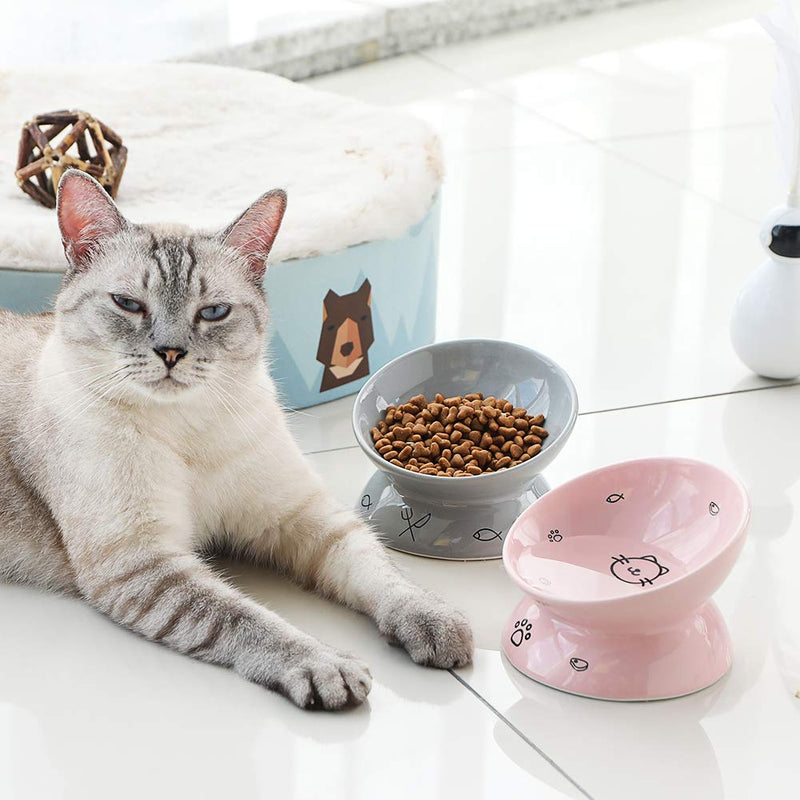 Sweejar Home Ceramic Raised Cat Bowls, Slanted Cat Dish Food or Water Bowls, Elevated Porcelain Pet Feeder Bowl Protect Cat's Spine, Stress Free, 147ml, Backflow Prevention (Gray) Gray 141.7 g (Pack of 1) - PawsPlanet Australia