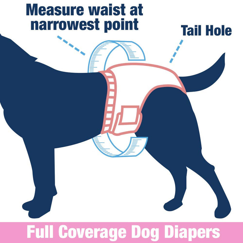 [Australia] - Four Paws Wee-Wee Male Dog Wraps, Disposable, X-Small/Small 12 Count, 4 Pack 