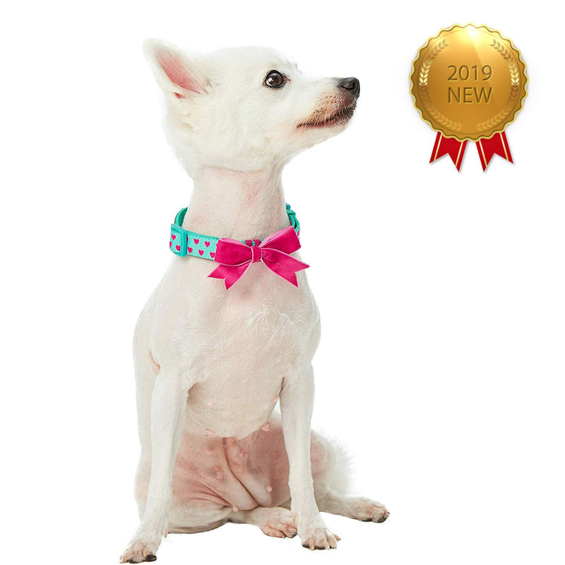 [Australia] - Blueberry Pet 20+ Patterns The Most Coveted Designer Dog Collars, Matching Leash or Harness Collar - (12"-16") Neck * 5/8" Wide Minty Green 
