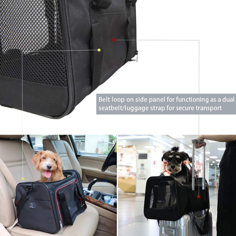 [Australia] - A4Pet Collapsible Cat and Dog Carrier, Top Loading, Sturdy Bottom, Easy Storage L 