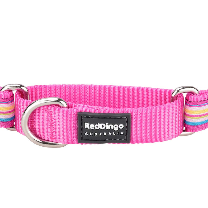 Red Dingo Hot Pink Stripes Martingale Dog Collar (15mm x 24-36cm), One Size Small - PawsPlanet Australia