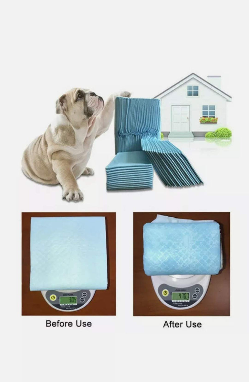 Puppy Training Pad / Disposable Puppy Pads / Litter Training Pad For Puppy / Dog mat for Incontinence / Absorbent Training Mat (Pack of 30) - PawsPlanet Australia