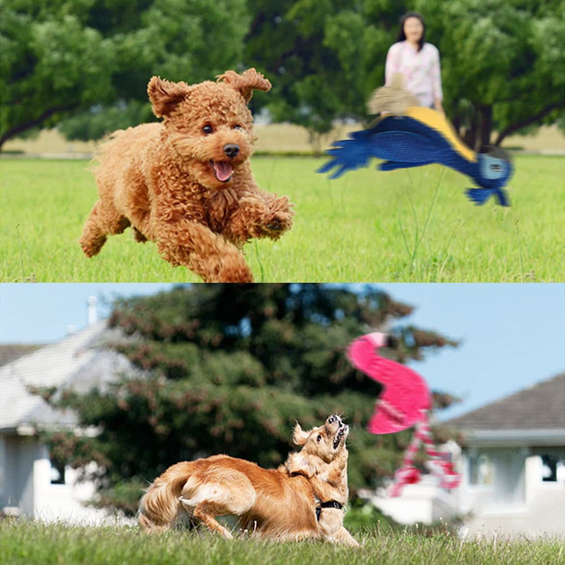 Dog Toys 2Pack, Stuffed Dog Plush Toys, Squeaky Dog Toys - Chewing Teeth Health Toys, Durable Tug of War Interactive Dog Chew Toys for Puppy Medium Large Breed Dogs - PawsPlanet Australia