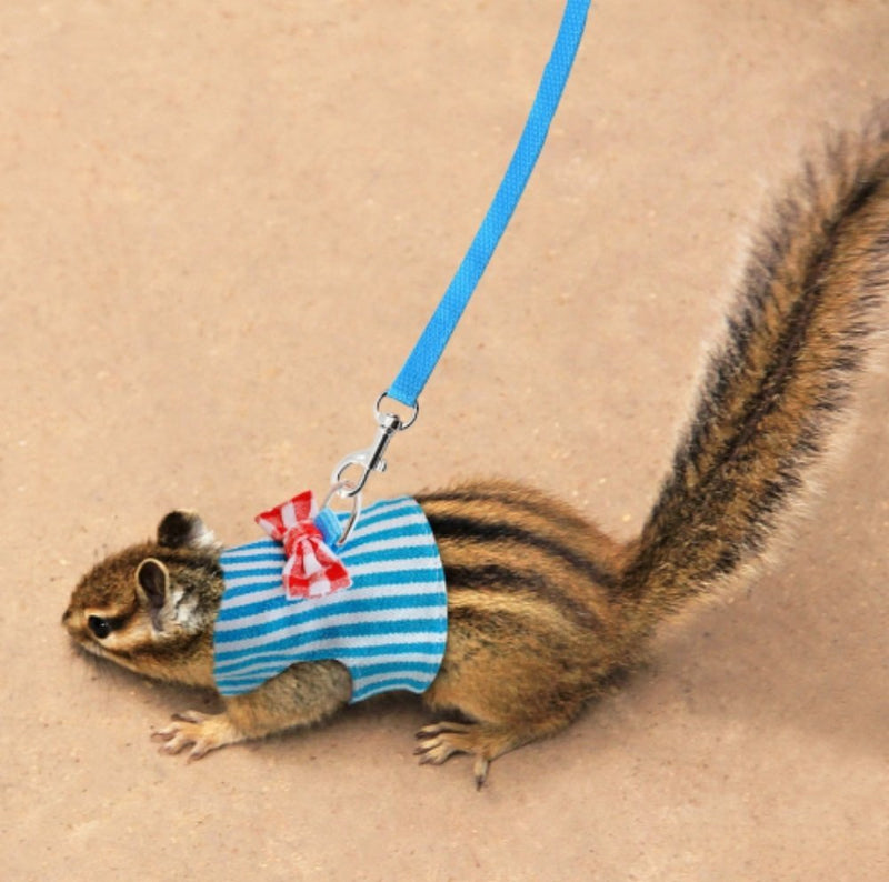 Stock Show Small Pet Outdoor Walking Harness Vest and Leash Set with Cute Bowknot Decor Chest Strap Harness for Rabbit Ferret Guinea Pig Bunny Hamster Puppy Kitten Clothes Accessory S Blue Stripe - PawsPlanet Australia