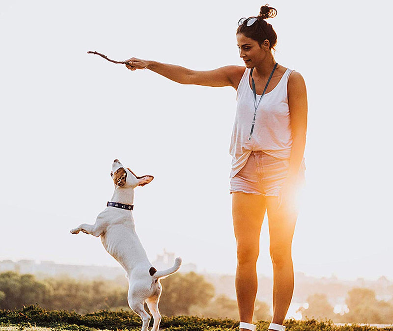 [Australia] - ADTBLL Dog Training Device Whistle, Ultrasonic & Silent Harness Aid to Stop Barking 