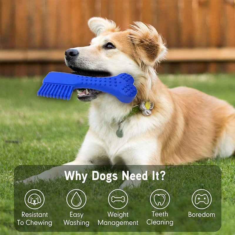 Nip and Chew toy – Toothbrush Shape – Blue - Interactive Toy for Playing & Training – Fun for your Dog and Puppies - PawsPlanet Australia
