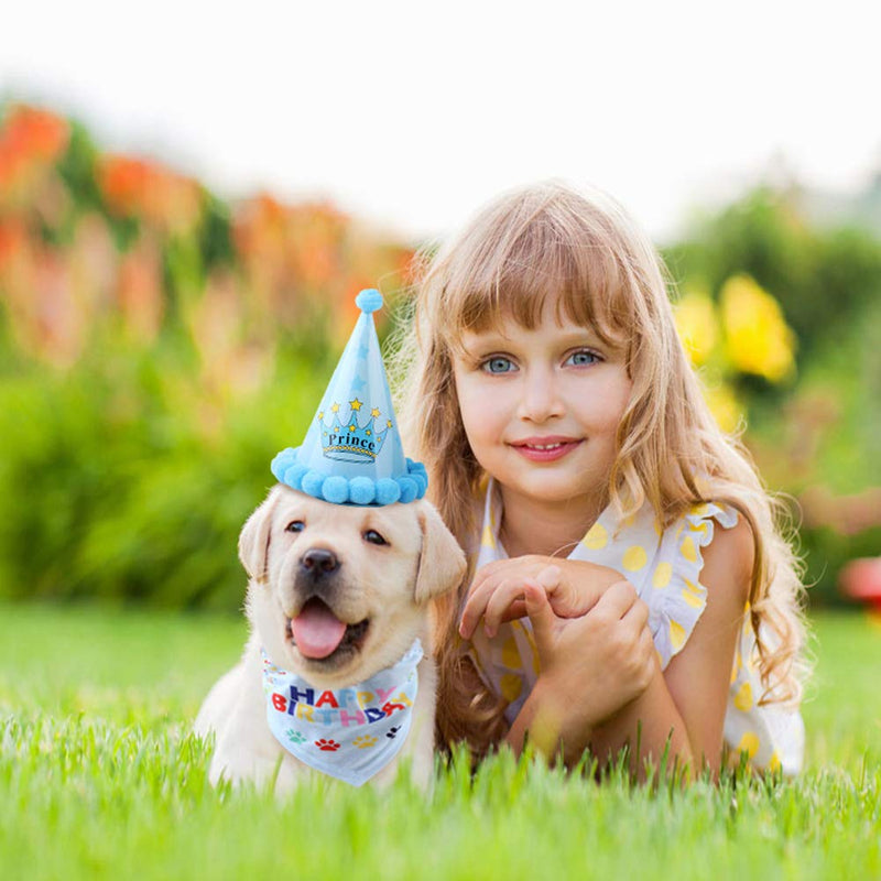 Minishark Dog Birthday Bandana Scarfs with Cute Doggie Party Hat (Blue) Blue - PawsPlanet Australia