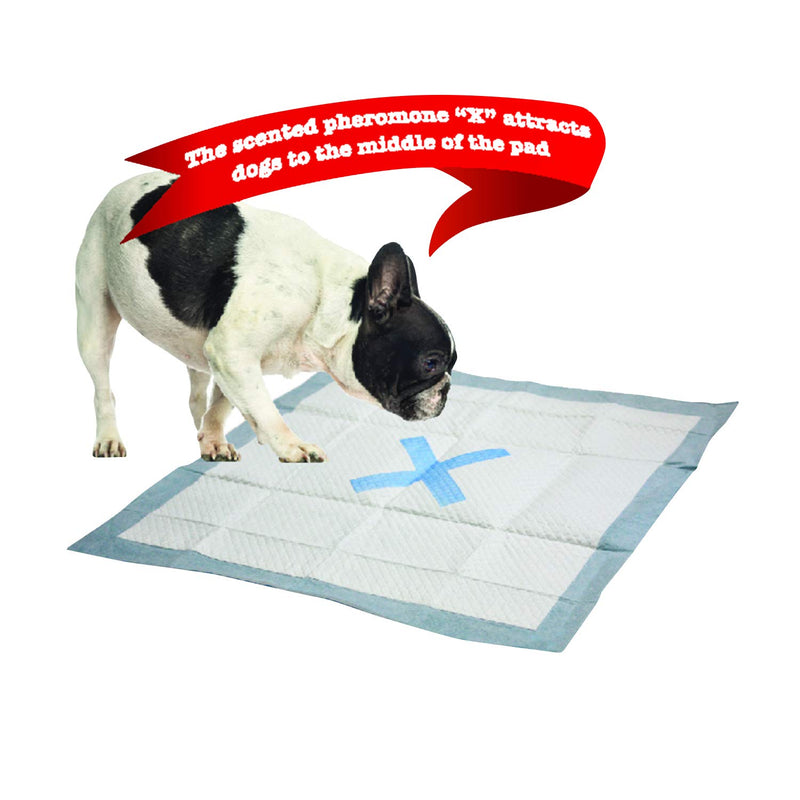 [Australia] - SPOT X Marks The Extra Absorbent Pee Pads | Puppy Pads | Puppy Pads with Adhesive | Training Pads | Dog Pads | Dog Pee Pads | Dog Potty Pads | Adhesive Strips | 22"X22" | 30 CT 