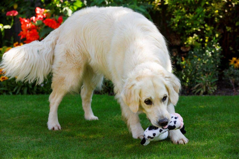 Petface Farmyard Buddies Lazy Moo Dog Toy - PawsPlanet Australia