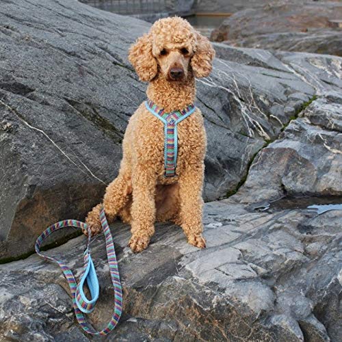 FinNero Nordic Lights Mesh Dog Leash with Comfortable Padded Handle, Sky Blue, 2 x 120 cm - PawsPlanet Australia