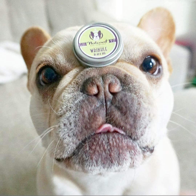 Natural Dog Company - Wrinkle Balm | Cleans and Soothes Dog Wrinkles and Skin Folds, Perfect for Bulldogs, All Natural, Organic Ingredients 0.25oz Travel Tin - PawsPlanet Australia