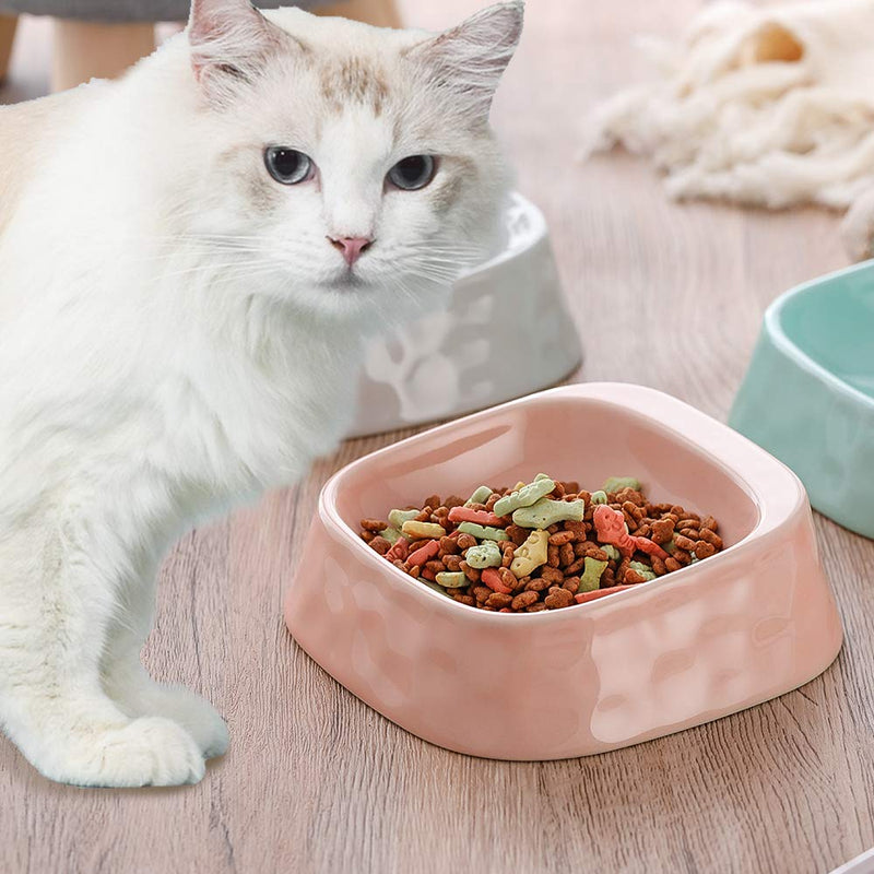 Pink Whisker Stress Free Cat Food Bowl Dog Bowl , Reliefs Whisker Fatigue, Wide dog Cat Dish, Non Slip Dog Cat Feeding Bowls, Shallow Cat Food Bowls, Non Skid Pet Bowls for Cats/rabbit/small dog Pink - PawsPlanet Australia