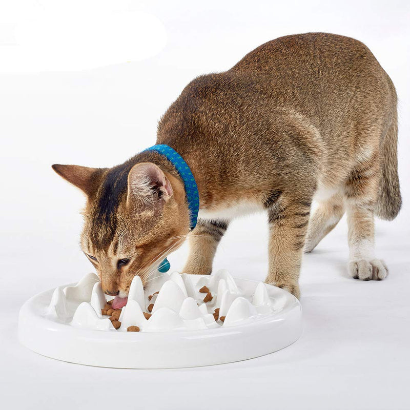 [Australia] - DotPet Slow Feeder Bowl, Ceramic Fun Interactive Feeder Bloat Stop Cat Bowl Preventing Feeder Anti Gulping Healthy Eating Diet Pet Bowls Against Bloat, Indigestion and Obesity 