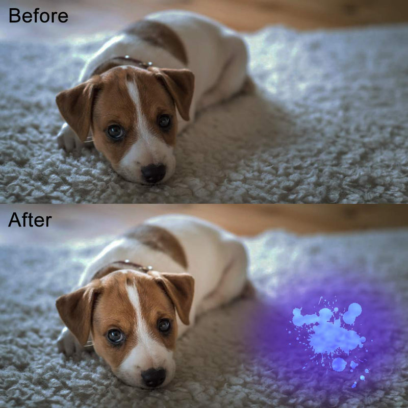 [Australia] - Flashlight BlackLight, 3-in-1 51 LED 365nM 380nM 395nM Blacklight Ultraviolet Flashlight for Pet Stains, Handheld Blacklight for Scorpion 