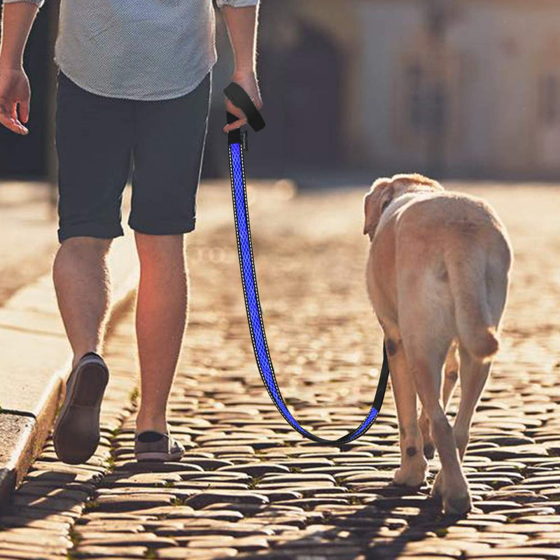 PcEoTllar Durable Dog Leash Comfortable Padded Handle Dog Lead Reflective Nylon Dog Leash 4ft/ 120cm Training Walking Leash Strong for Large Medium Small Dogs - Blue - PawsPlanet Australia