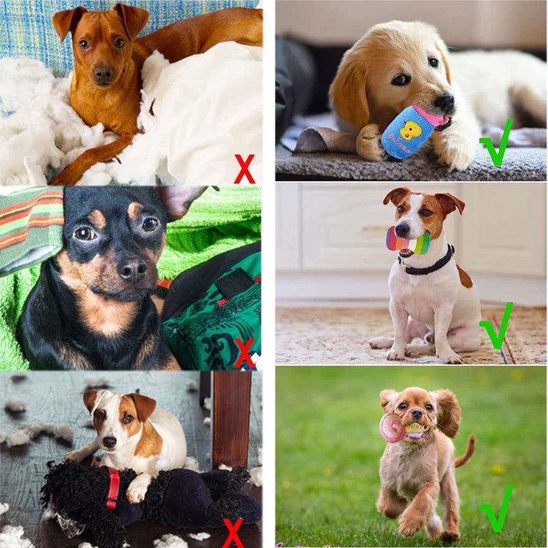 BBAOO Dog Toys Small Dogs, Pack of 10 Plush Toys, Squeaky Puppy Toys, for Cleaning Dog Teeth, Interactive Training Toys for and Medium Dogs - PawsPlanet Australia