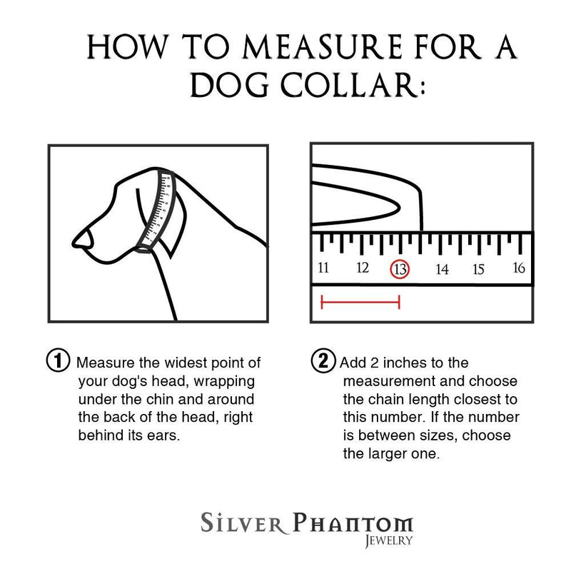 Silver Phantom Jewelry Designer Pitbull Dog Collar, 20mm Wide, 680 lbs, 24 Inch - Silver - PawsPlanet Australia