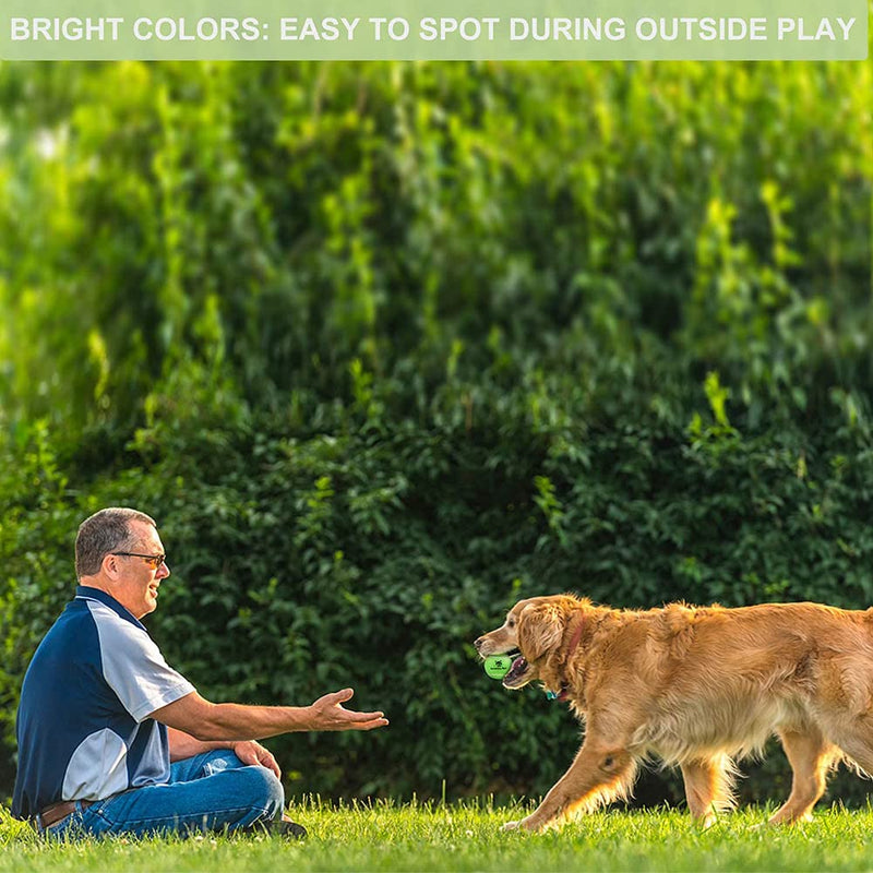 Rainbow Tennis Balls for Dogs 2.5" Size 6 Bright Colours Interactive Dog Toys Dog Gift for Dogs - PawsPlanet Australia