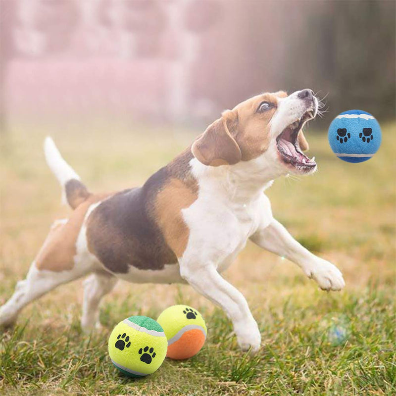 Petper Cw-0039EU Dog Balls Toy, Dog Tennis Ball Rubber Balls for Puppy Training Play, Pack of 3 Yellow - PawsPlanet Australia