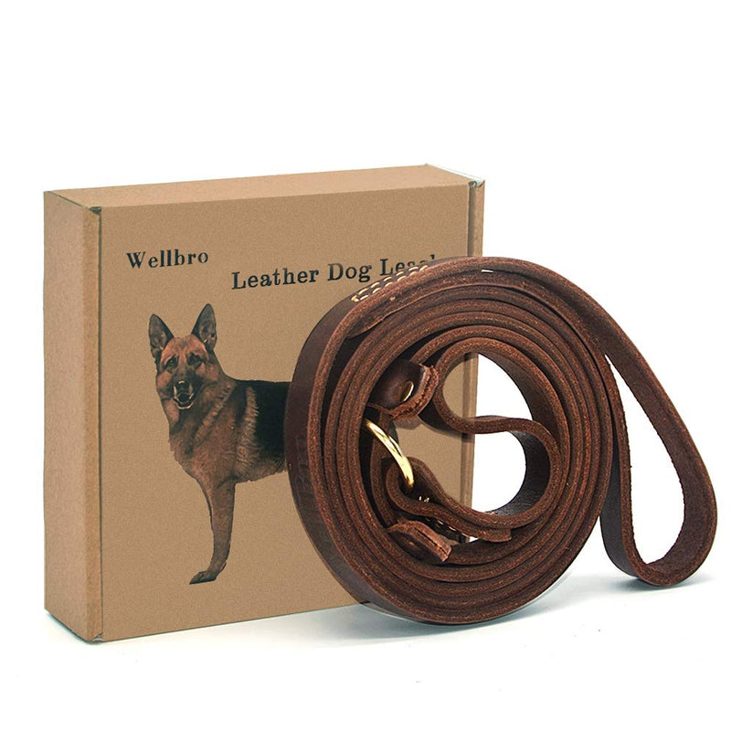 [Australia] - Wellbro Real Leather Slip Lead Dog Leash, Adjustable Stitched Pet Slip Leads with Slider, Heavy Duty Flat Dog Training Leashes for Medium and Large Dogs,Brown 5 Feet 