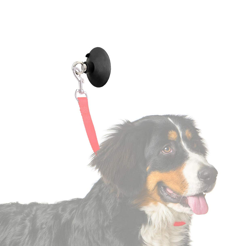 Last Leash Dog Bathing & Grooming Suction Cup - Keeps Dog in Bathtub or Shower - Any Size Dog (Loop Not Included) Suction Cup Only - PawsPlanet Australia