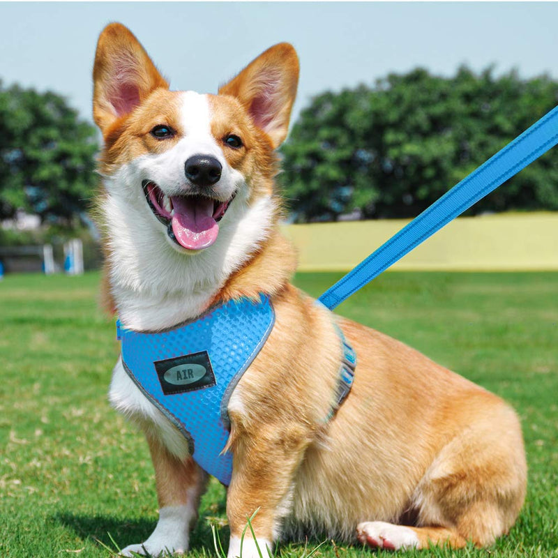 AIR Dog Harness Leash Set, Puppy Leash Harness, No-Choke Dog Harness, Mesh Dog Harness, Comfortable Dog Harness, Plus 4 ft Reflective Dog Leash with Padded Handle, Large, Light Blue L(Neck 13-20 in, Chest 18-30 in) - PawsPlanet Australia