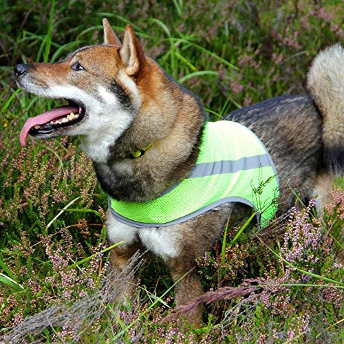 FinNero ATTE Attention Reflective Vest for Dogs, Yellow, XXXL - PawsPlanet Australia