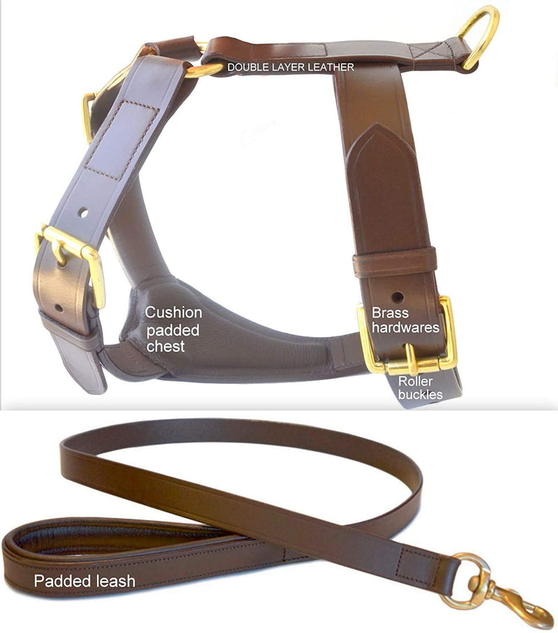 SIE EQUESTRIAN TUGBY XS/S/M/L/XL/XXL Dog Leather Harness Sets with Matching Dog Lead Chestnut - PawsPlanet Australia