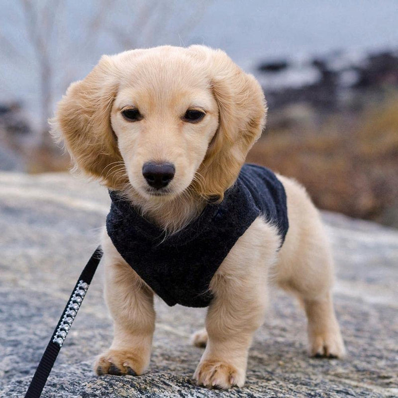 Gooby Fleece Vest Dog Sweater - Warm Pullover Fleece Dog Jacket with Leash Attachment - Winter Small Dog Sweater Coat - Cold Weather Dog Clothes for Small Dogs Boy or Girl for Indoor and Outdoor Use X-Small chest (~11") Black - PawsPlanet Australia