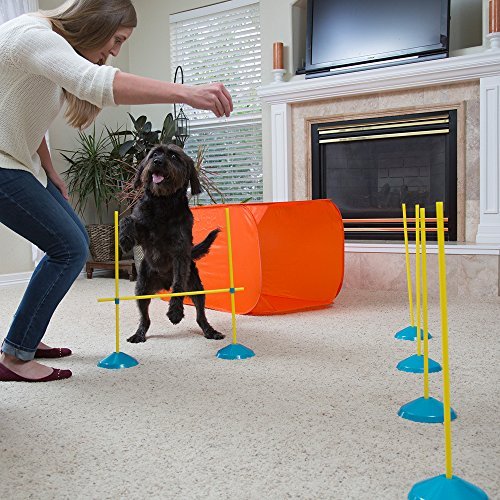 [Australia] - Outward Hound ZipZoom Beginner Dog Agility Training Obstacle Course & Tail Teaser Wand Indoor 