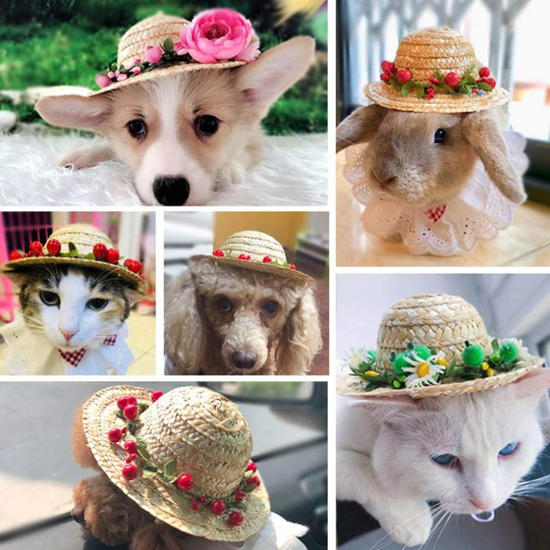 [Australia] - Delifur Dog Straw Sombrero Hat Pet Sun Cap with Flowers Birthday Party Hat for Small Puppy Cat Medium Green Daisy 