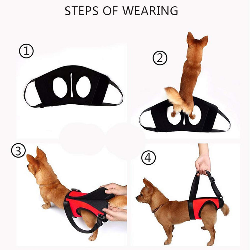 Dog Lift Harness Front Rear Leg Dog Lift Support Sling Back Legs Hip Support Harness Walking Aid for Senior Injured Disabled Joint Injuries Dogs Walk (Rear Leg S) Rear Leg S - PawsPlanet Australia