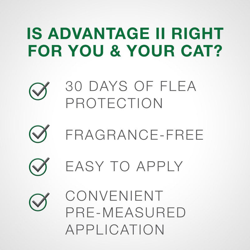 Advantage II Flea Prevention for Small Cats, 6-Dose Small Cat Flea Prevention, 5-9 Pounds (Package may vary) - PawsPlanet Australia