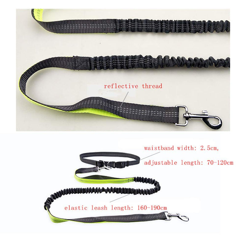 Moraphee Hands Free Retractable Dog Leash for Running with Reflective Thread, Adjustable Waistband Length: 70-120cm; Leash size: 160-190*2.5cm for dogs under 110lb - PawsPlanet Australia