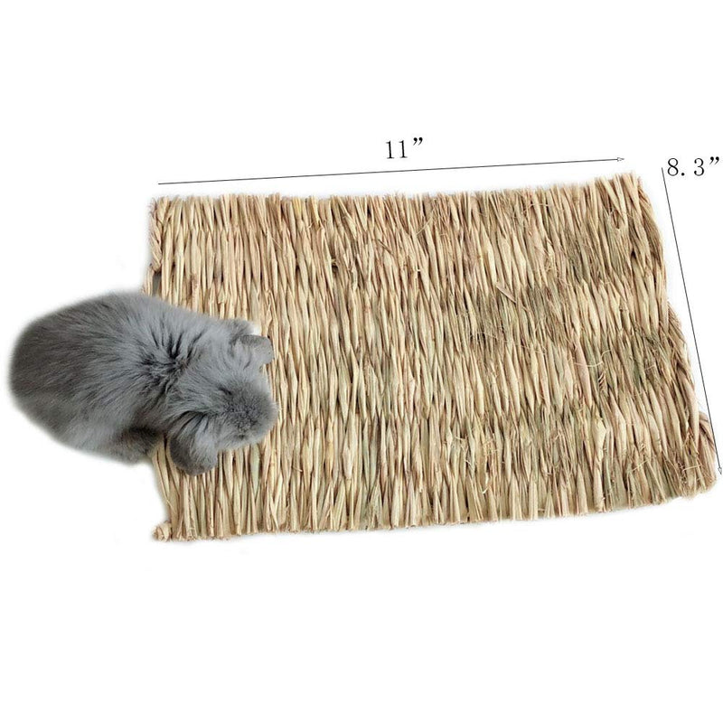 Grass Mat Woven Bed Mat for Small Animal Bunny Bedding Nest Chew Toy Bed Play Toy for Guinea Pig Parrot Rabbit Bunny Hamster Rat(Pack of 3) (3 Grass mats) Basic - PawsPlanet Australia