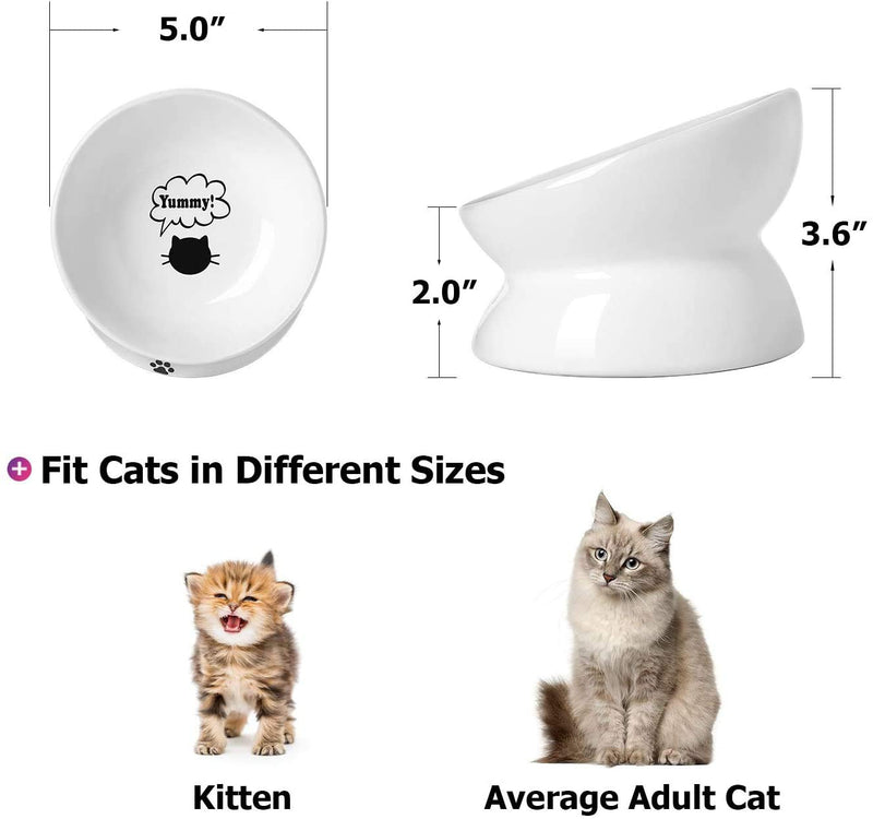 Y YHY Cat Bowl,Raised Cat Food Bowls Anti Vomiting,Tilted Elevated Cat Bowl,Ceramic Pet Food Bowl for Flat-Faced Cats,Small Dogs,Protect Pet's Spine,Dishwasher Safe 5 Inches White - PawsPlanet Australia