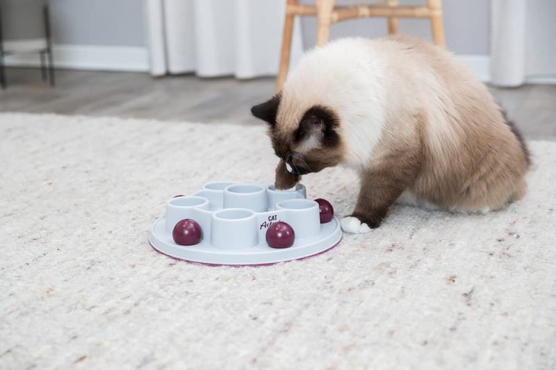 TRIXIE strategy game Slowfeed CAT Activity Pentagon, 28 cm - 45895 - PawsPlanet Australia