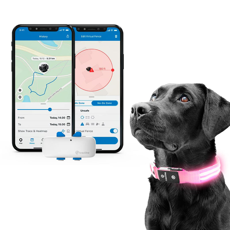 Tractive GPS Pet Tracker with LED Light Up Dog Collar - Waterproof, GPS Location & Smart Activity Tracker, Unlimited Range (Pink, Medium) LED Collar w/ GPS Tracker - PawsPlanet Australia