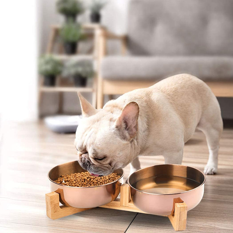 Dorakitten Double Dog Bowls,Pet bowls for Dog Non-slip Dog Bowl Stainless Steel Stand Dog dish large Dog Feeding bowls with rised suitable All dogs - PawsPlanet Australia