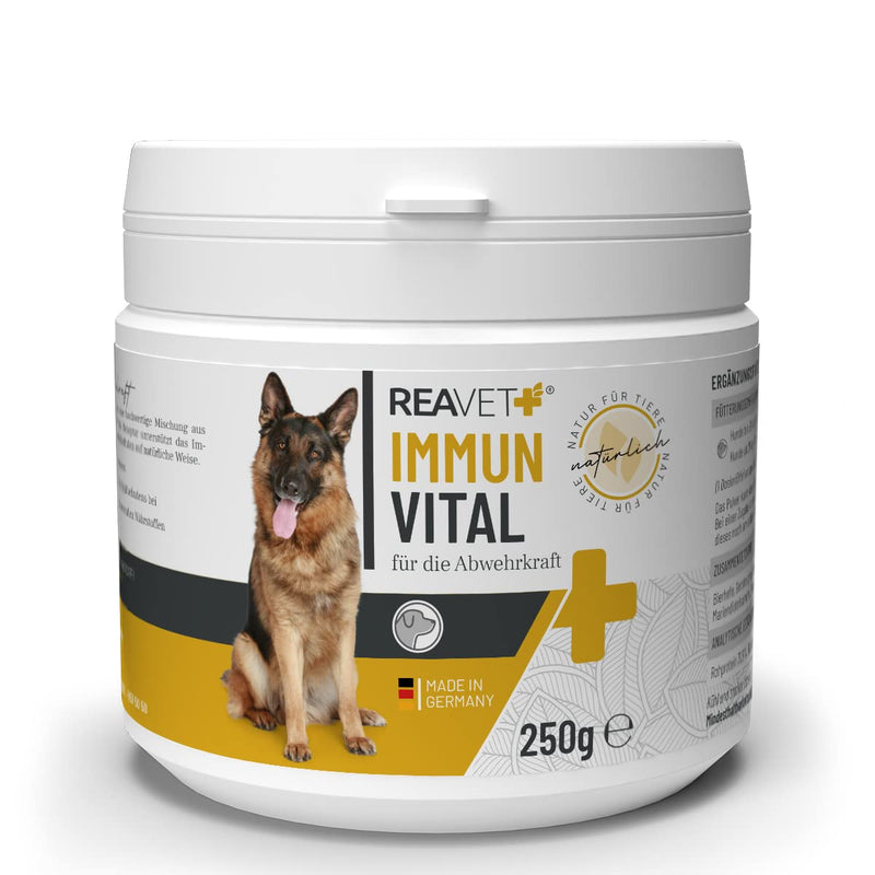 ReaVET Immune Vital for dogs strengthen immune system and defenses I vitamins for dogs, build